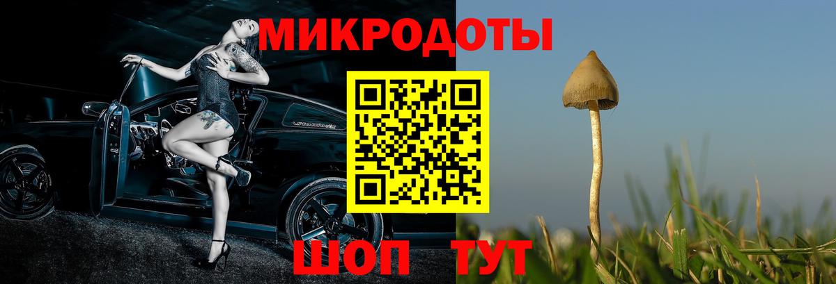Великий Новгород  Галлюциногенные грибы Psilocybine cubensis  Вход с VPN  Псилоцибиновые грибы мухоморы 